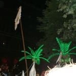 CIMG0630.JPG