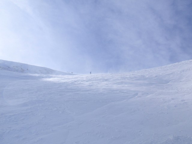 P2061917.jpg