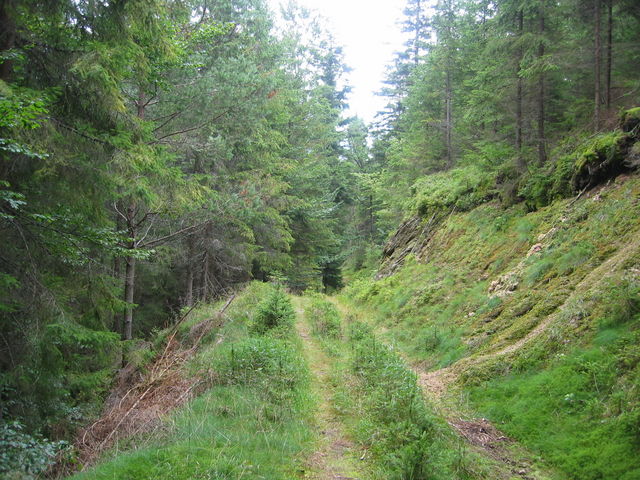 Granittrail 010.jpg