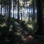 Granittrail 022.jpg