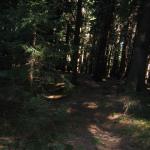 Granittrail 023.jpg