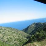 Los Angeles 2006 013.jpg