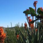 Los Angeles 2006 025.jpg