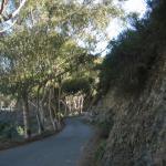 Los Angeles 2006 030.jpg