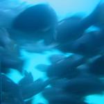 Los Angeles 2006 044.jpg