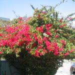 Los Angeles 2006 150.jpg