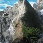 Los Angeles 2006 220.jpg