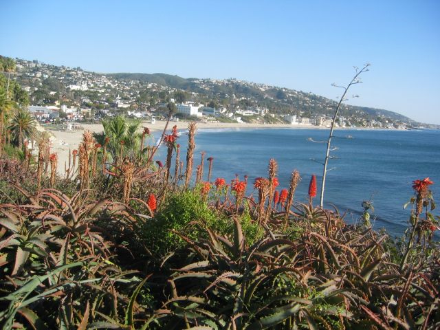 Los Angeles 2006 271.jpg