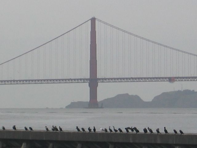 Los Angeles 2006 313.jpg