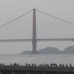 Los Angeles 2006 313.jpg