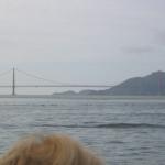 Los Angeles 2006 342.jpg