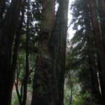 Los Angeles 2006 418.jpg