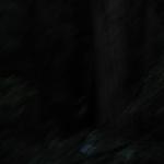 Los Angeles 2006 424.jpg