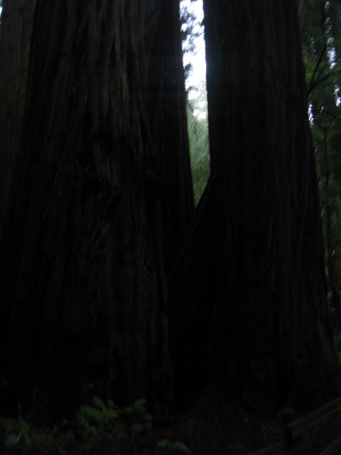 Los Angeles 2006 431.jpg