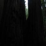 Los Angeles 2006 431.jpg