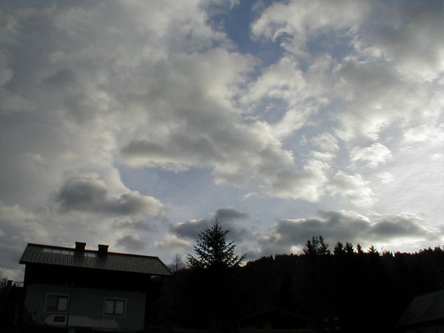 P1010006.JPG