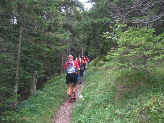 161_6195.jpg