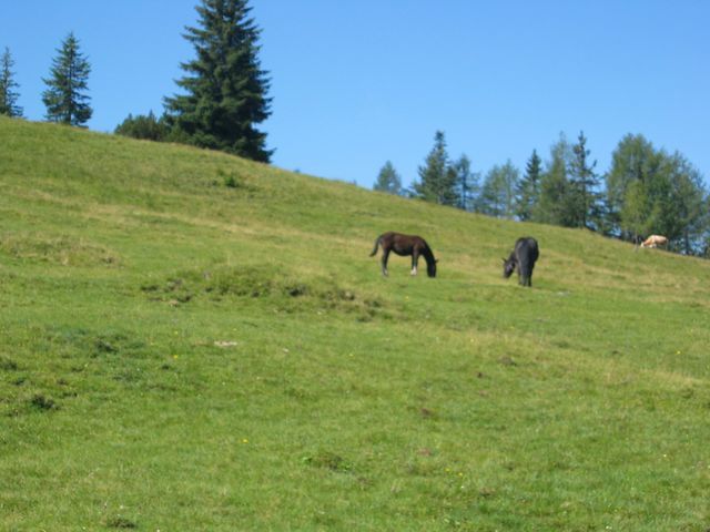 img_2390.jpg