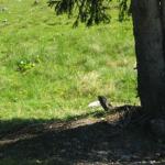 img_2391.jpg