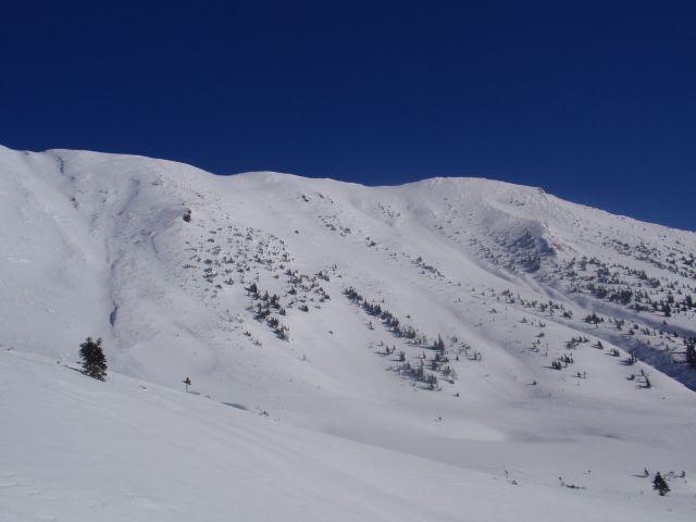 P1030531.jpg