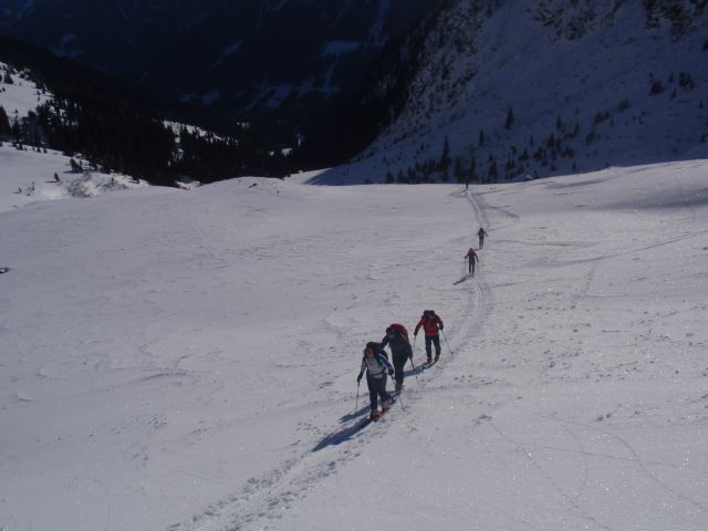 P1030533.jpg