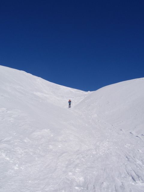 P1030534.jpg