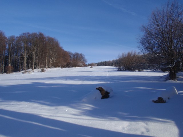 P1041828.JPG