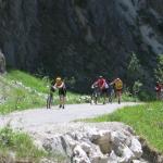 IMG_1994.JPG