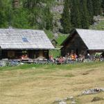 IMG_2011.JPG