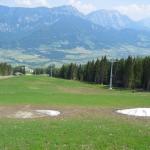IMG_2036.JPG