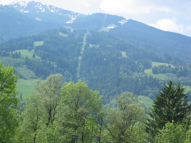 IMG_2039.JPG