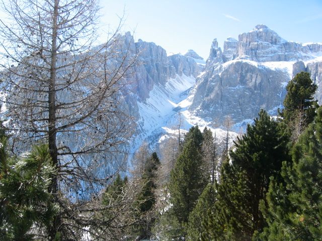 IMG_1739.JPG