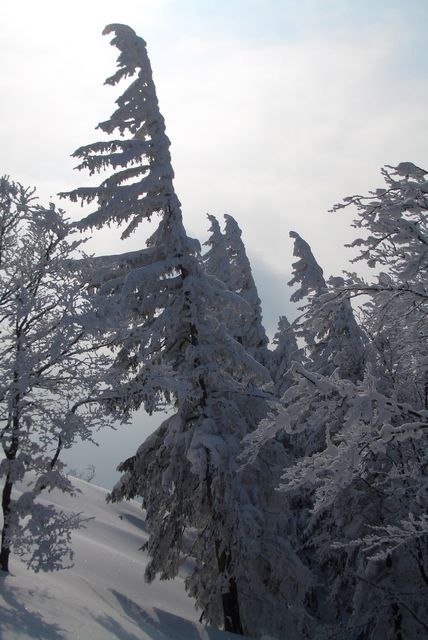 CIMG0234.JPG