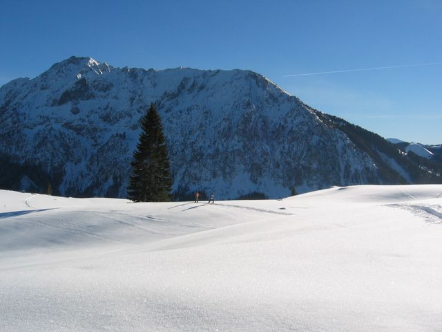 IMG_1639.JPG