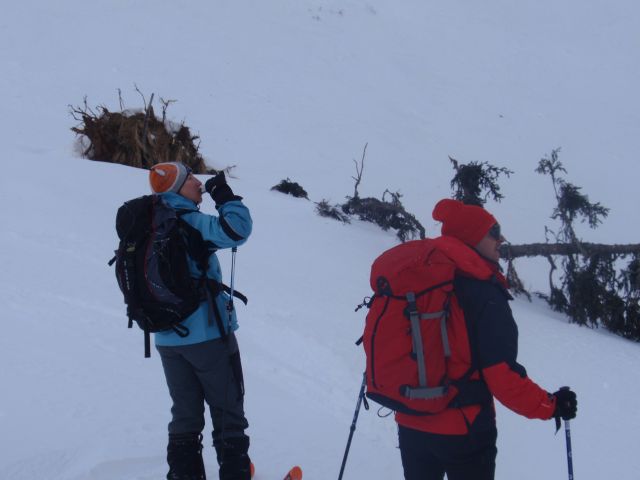 P1060585.jpg