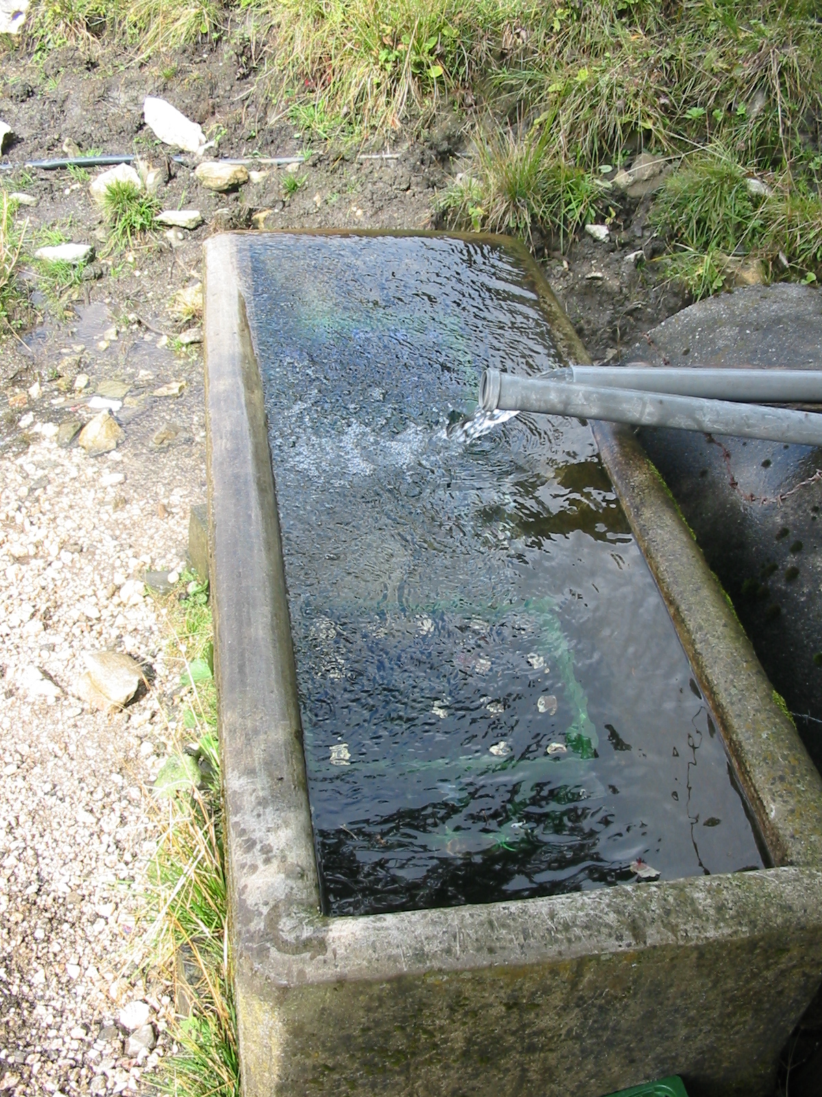 IMG 0052
