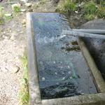 IMG 0052