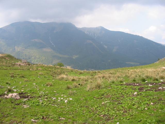 IMG 0084