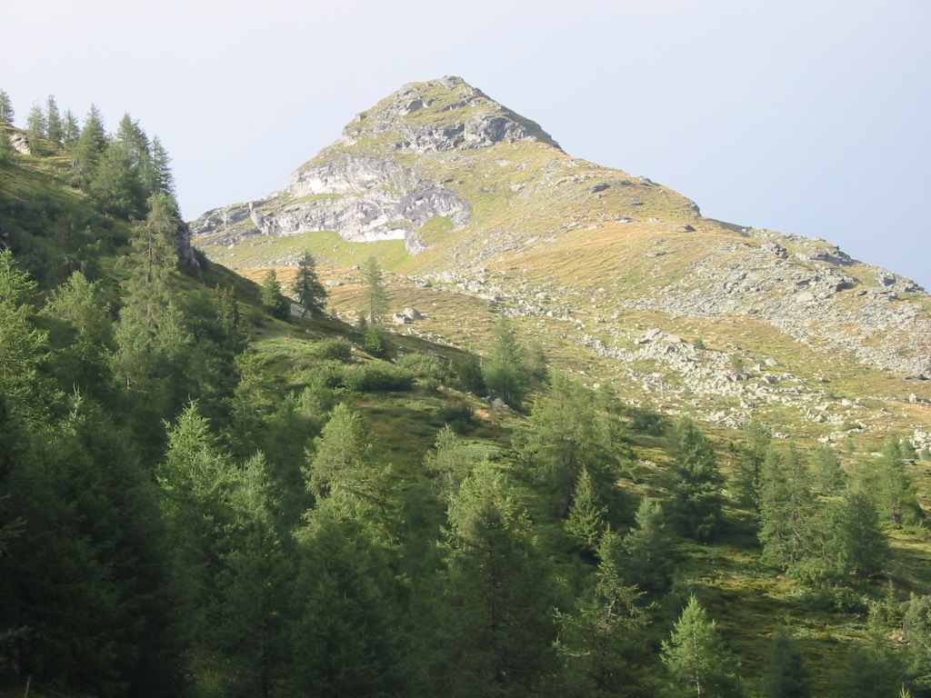 IMG_0076.jpg