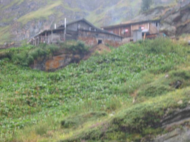 IMG_0092.jpg