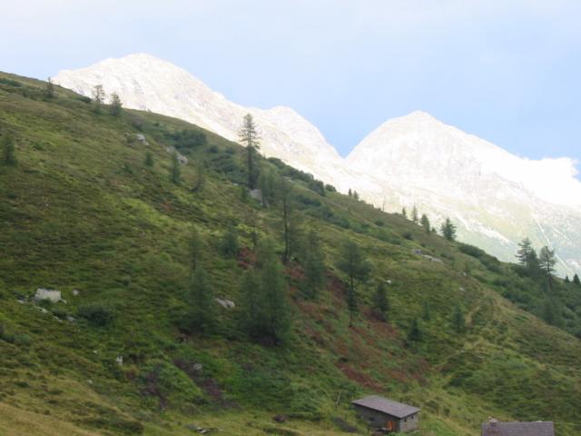 IMG_0120.jpg