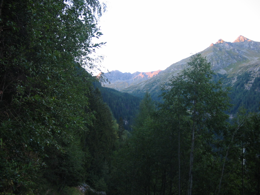 IMG_0165.jpg