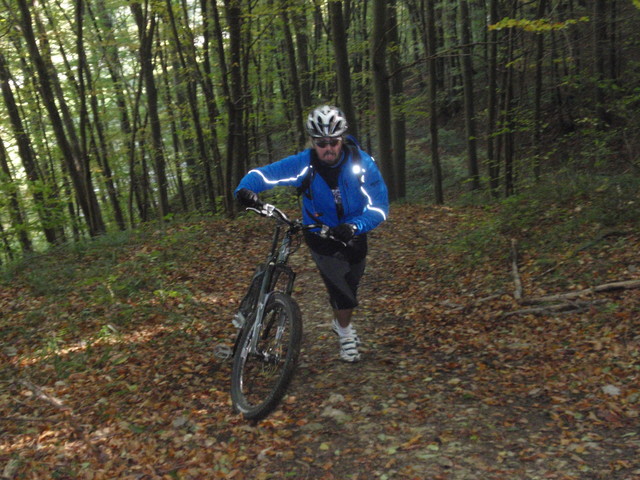 PA101781.jpg