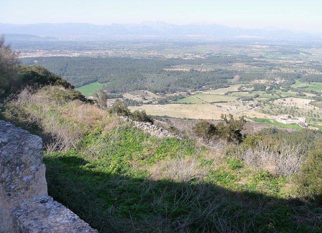 P1020031.JPG