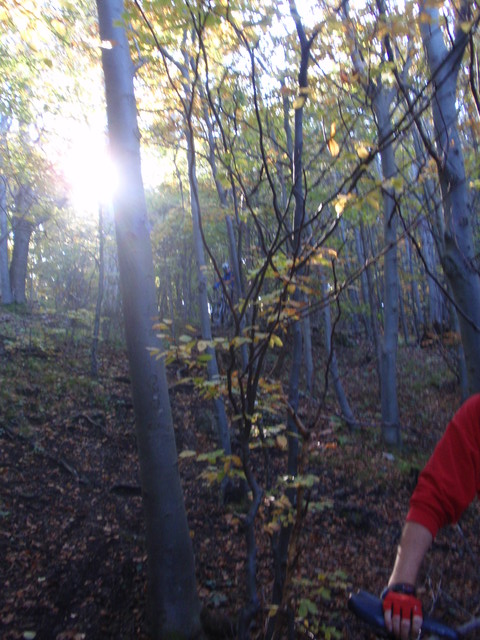 PA101788.jpg