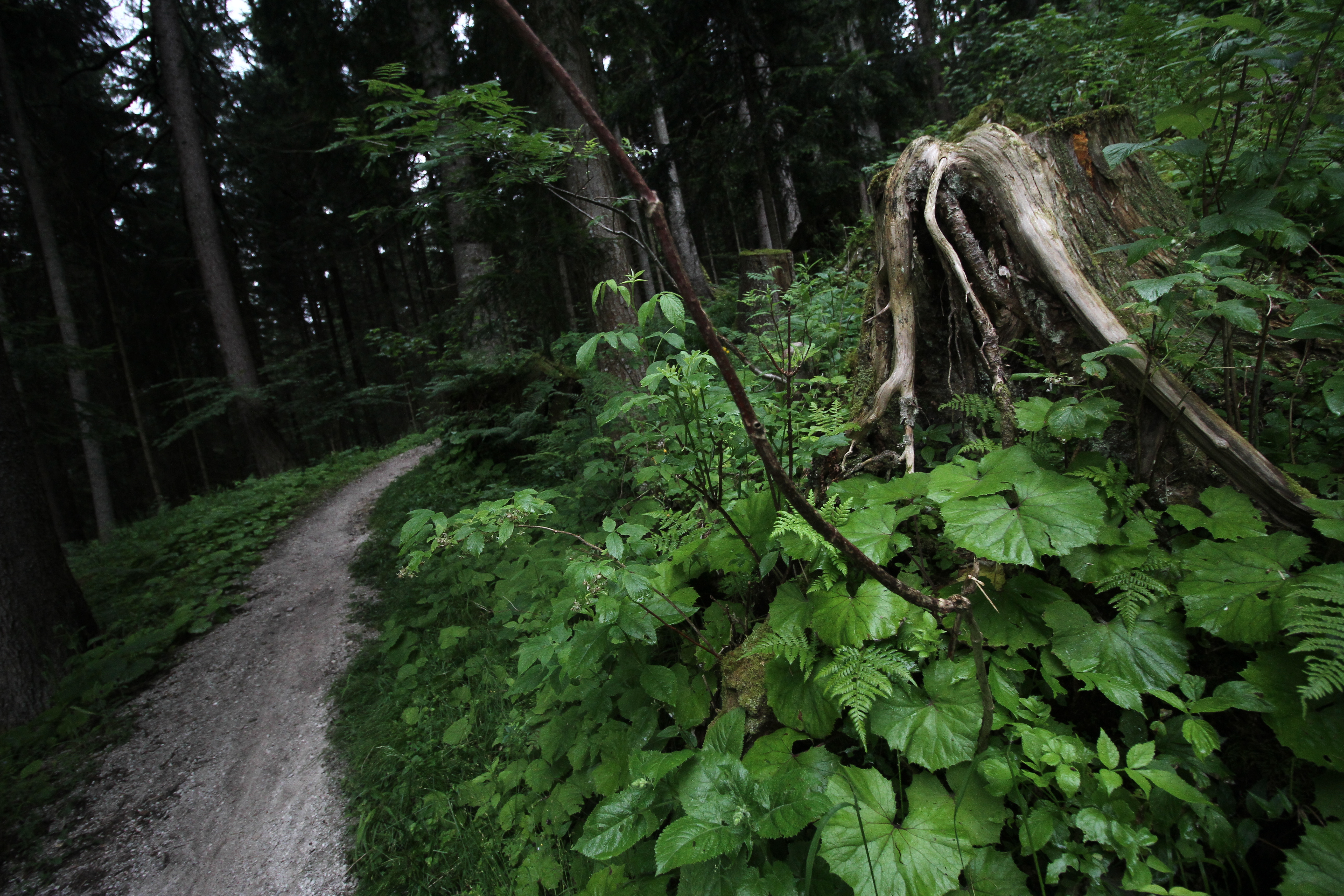 sportograf-83470431