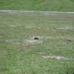 Transalp_20160718_017