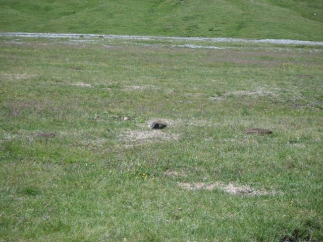 Transalp_20160718_017