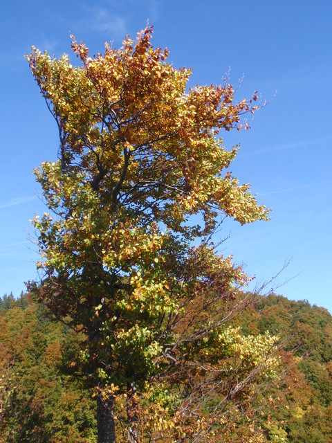 PA031766.jpg