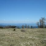 dsc03122.jpg